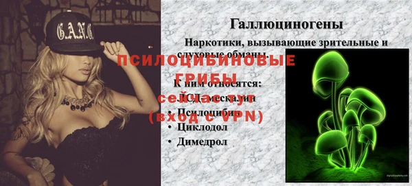 дмт Абинск