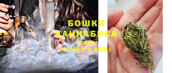 бошки Алексин